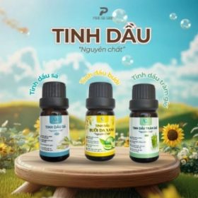 Sản xuất & chiết xuất tinh dầu thiên nhiên