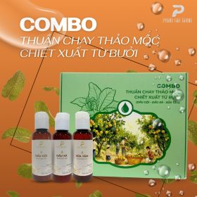Combo thuần chay thảo mộc PGX