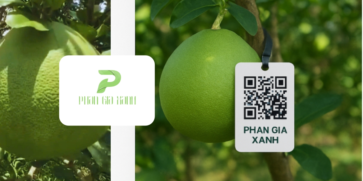 HỆ THỐNG TRUY XUẤT NGUỒN GỐC BẰNG MÃ QR