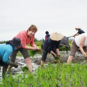 Du lịch nông nghiệp cộng đồng