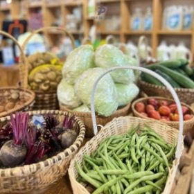 Sản xuất & chế biến thực phẩm sạch.