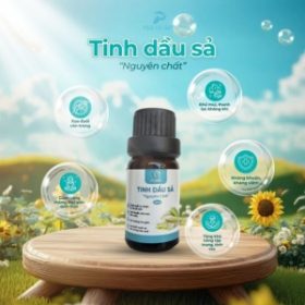 Sản xuất & chiết xuất tinh dầu thiên nhiên