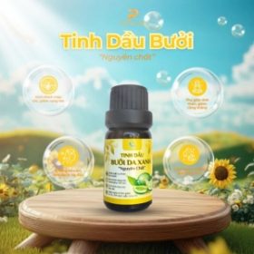 Sản xuất & chiết xuất tinh dầu thiên nhiên