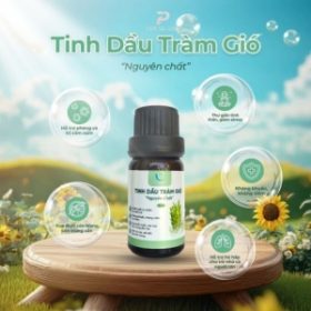 Sản xuất & chiết xuất tinh dầu thiên nhiên