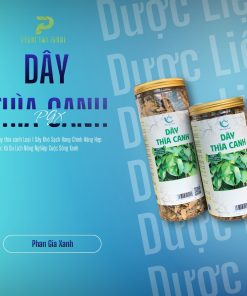 Dây thìa canh sấy khô PGX 100gr