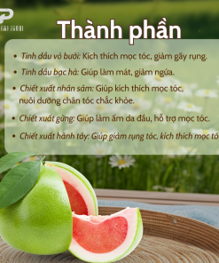 Dầu gội thảo mộc thuần chay PGX 300ml