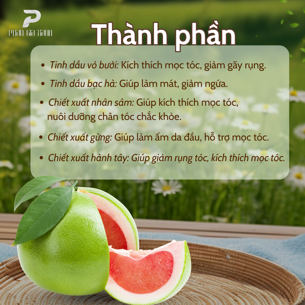 Dầu gội thảo mộc thuần chay PGX 300ml Dầu gội thảo mộc thuần chay PGX 300ml