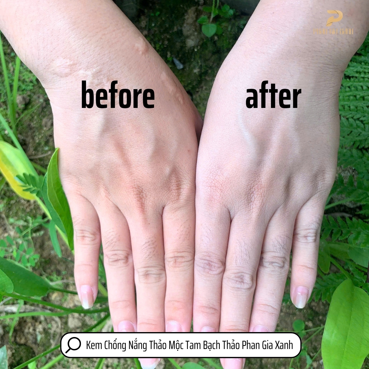 KCN Thảo Mộc Tam Bạch Thảo 5 KCN Thảo Mộc Tam Bạch Thảo