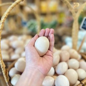 Nông sản sạch PGX