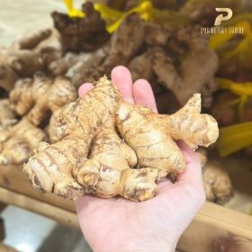 Nông sản sạch PGX