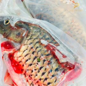 Nông sản sạch PGX