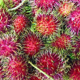 Nông sản sạch PGX