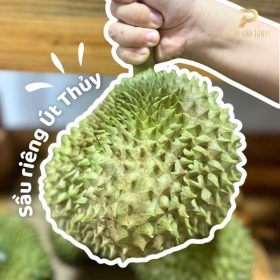 Nông sản sạch PGX