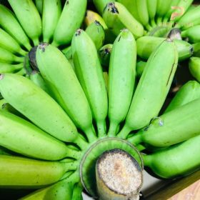 Nông sản sạch PGX