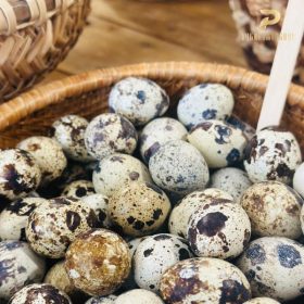 Nông sản sạch PGX