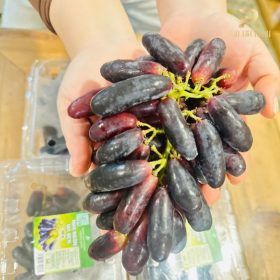 Nông sản sạch PGX