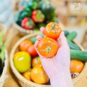 Nông sản sạch PGX