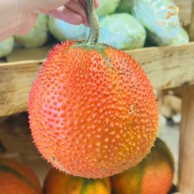 Nông sản sạch PGX