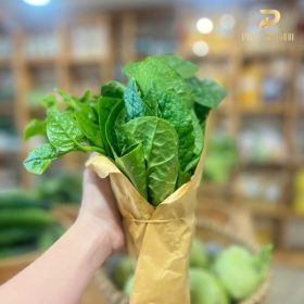 Nông sản sạch PGX