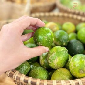 Nông sản sạch PGX