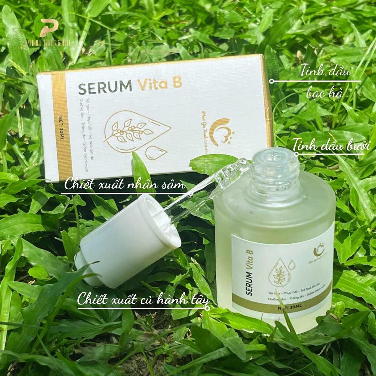 Serum Vita B 4 Serum Vita B