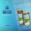 Cà Gai Leo Sấy Khô PGX 200gr