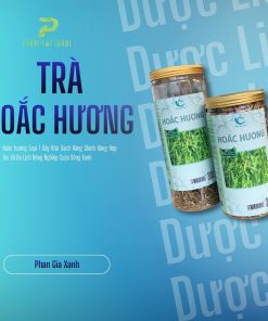Hoắc hương sấy khô PGX