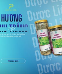 Hương nhu trắng sấy khô PGX