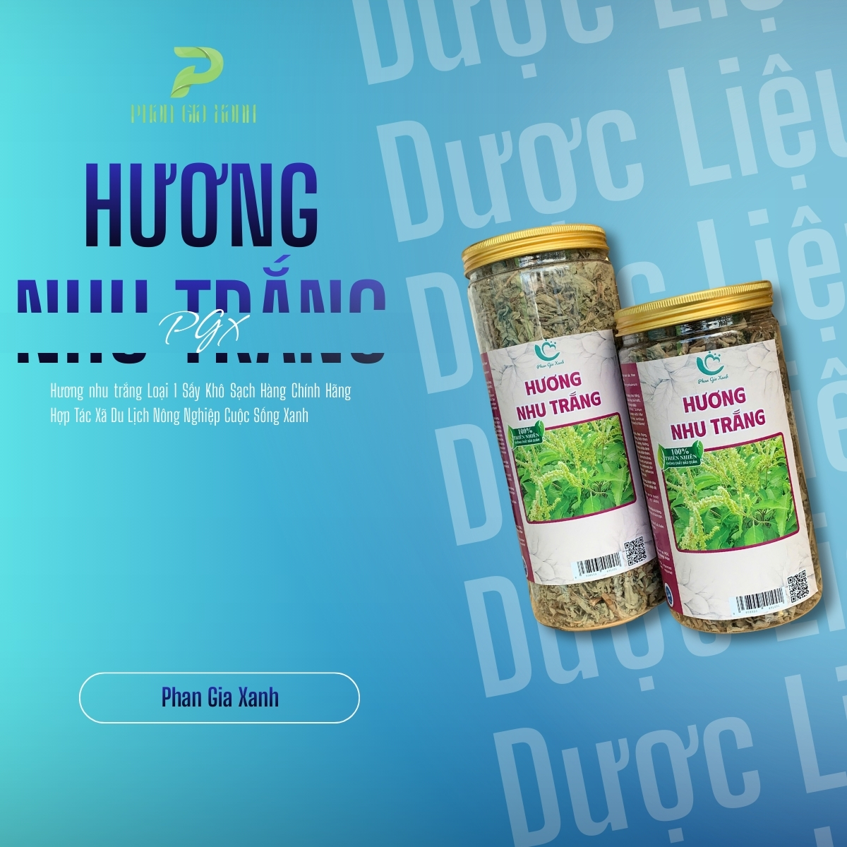 Hương nhu trắng sấy khô PGX 200gr Hương nhu trắng sấy khô PGX
