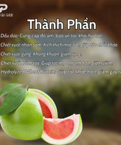 Dầu xả thảo mộc thuần chay PGX 300ml