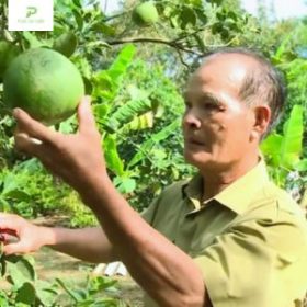 Người nông dân Phan Gia Xanh